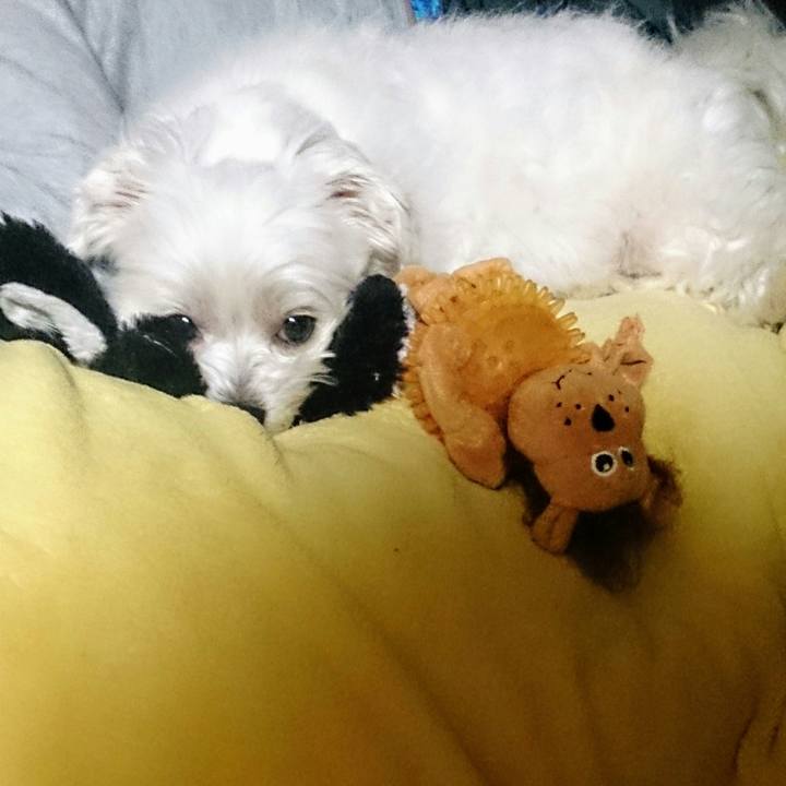 9cbd9975 1ebe 4c87 9e9a 6d15e56838b0