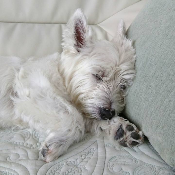 9cbd9a89 404c 426e a7b9 28db1cc4526b