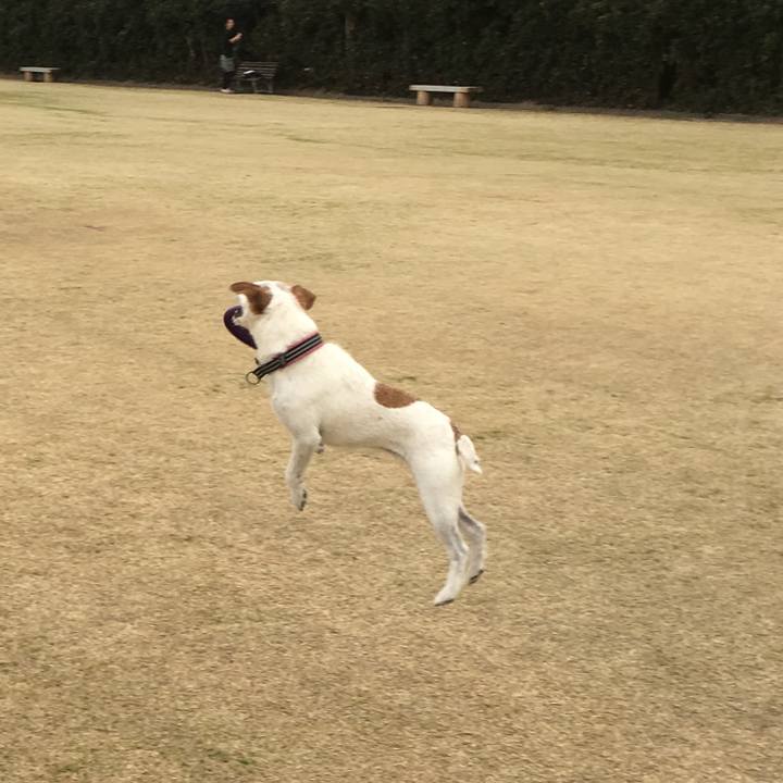 9cbd9aba 840e 406f b170 a4a4e3180ffb