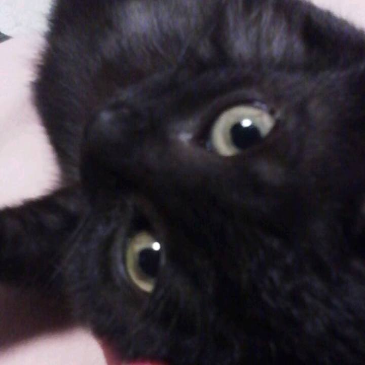 9cbde1e0 946d 49e7 9c2f 044abde93553