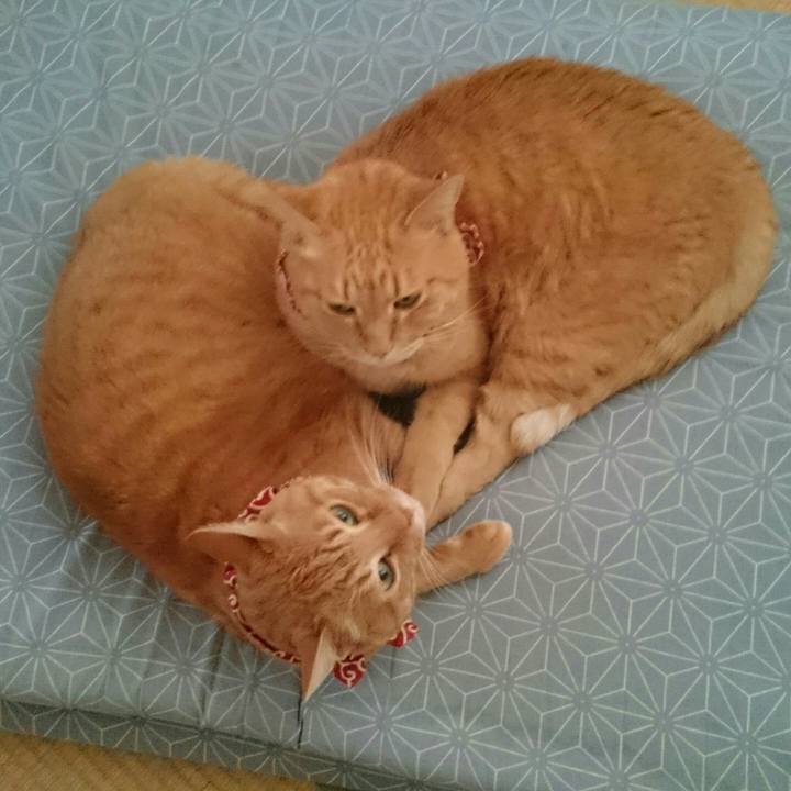 9cbe7bdf 9753 4179 89bd 8778bbbe9d72