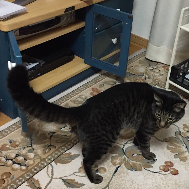 9cbe984d 2c19 4067 a323 5225d393ad9d