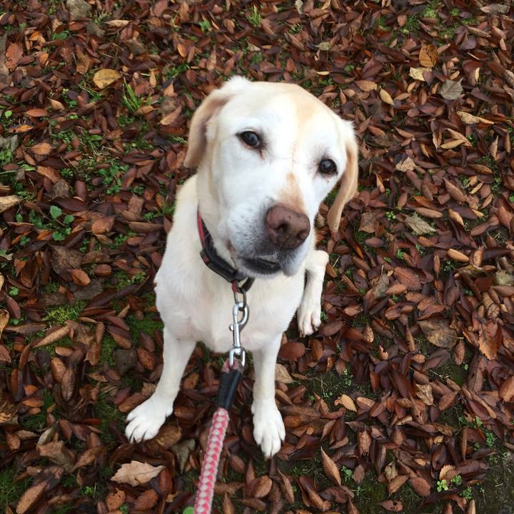 9cbeab5f f5c8 42c7 9a00 524c3de323e8