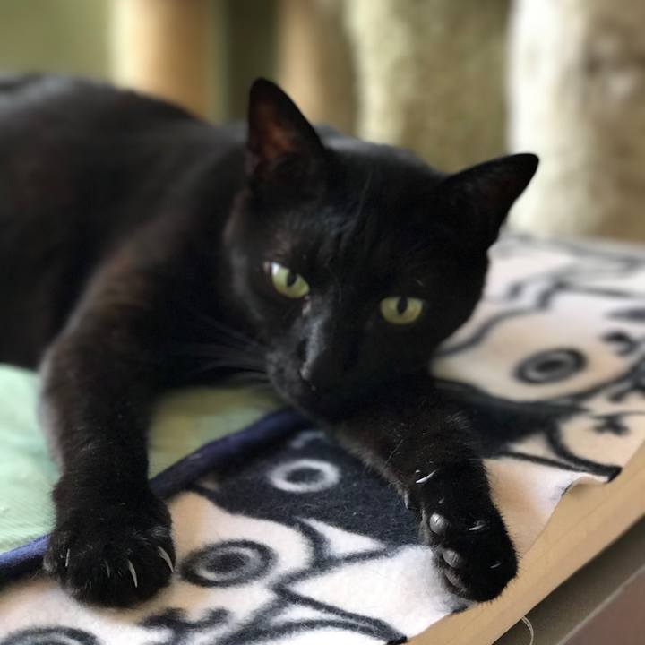 9cbeda25 cd2f 41a8 a790 01c27d19b220