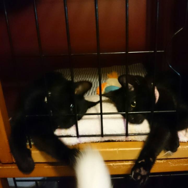 9cbf37d3 a2a8 4f10 92f5 df6f98504e27