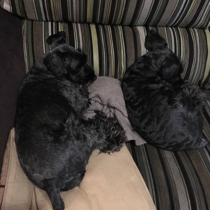 9cbf93ff 4ea9 4722 9f38 715f0cabf7ce