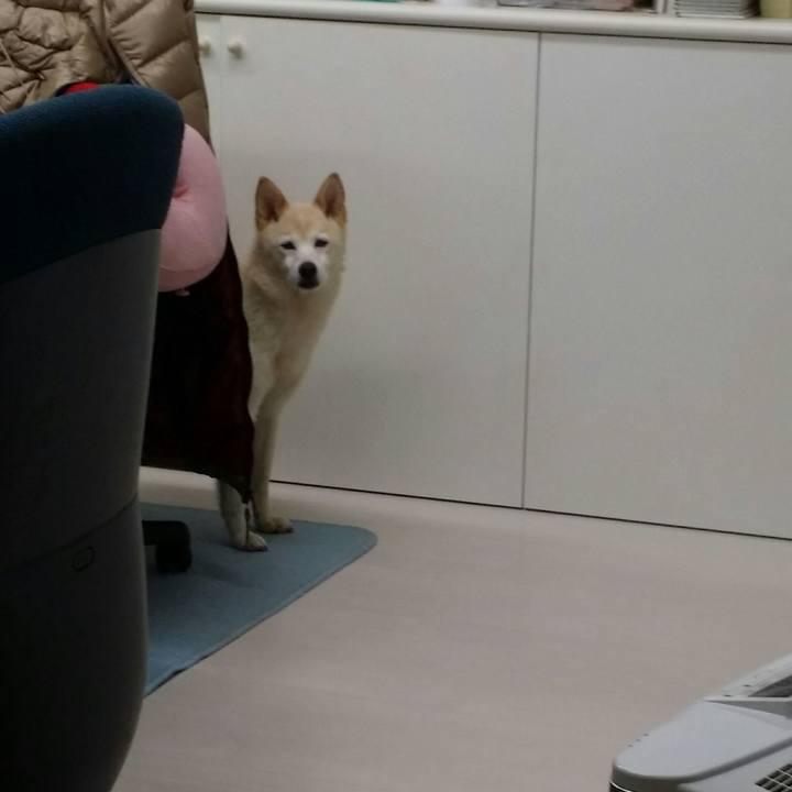 9cbfb04e 4891 4422 8f4b ac3d7b352ba0