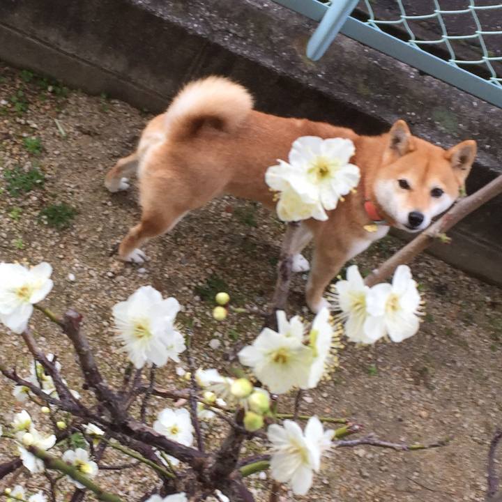 9cc04b64 0610 4422 9dc4 0ed3dceb573e