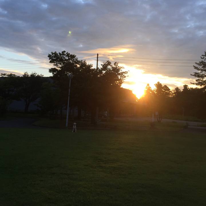 9cc052d2 11f0 41d7 a062 a296677b9e8c