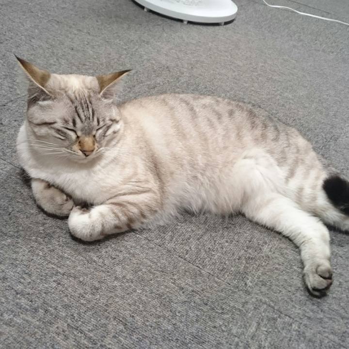 9cc060e9 8ab0 4876 afa9 12e42d37f010