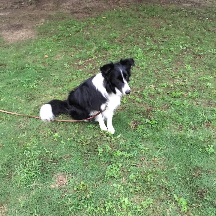 9cc0fbc6 ac93 474d a441 f2e335a22277