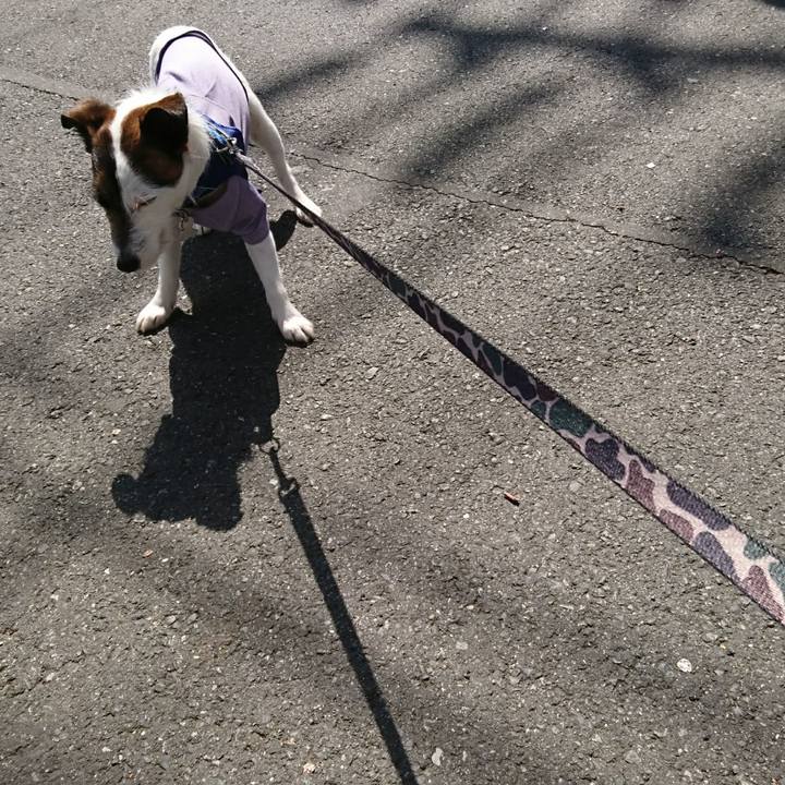 9cc1bbb7 78bb 4d9b 998e f9cf46177fd9