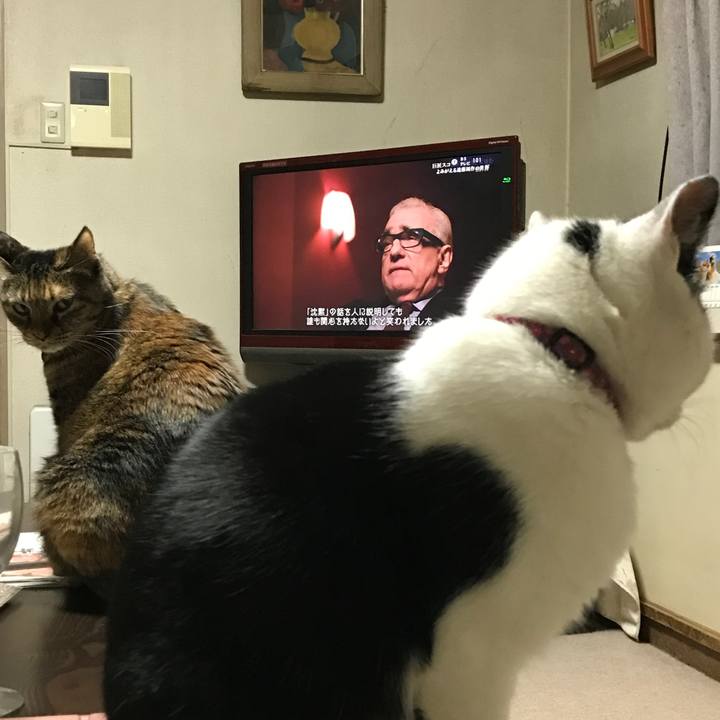 9cc2a81c 3090 43c6 a5fa 695d16ea7ecf