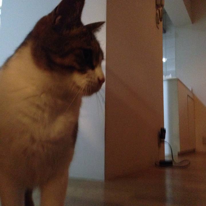 9cc30984 1fe9 49fd 87e0 b3cb9e196ad3