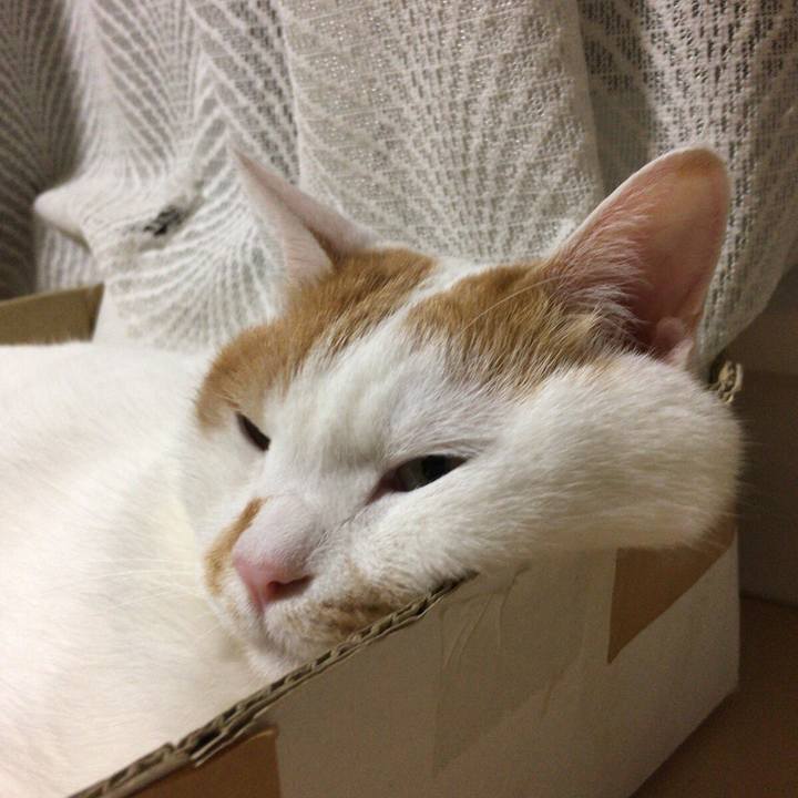 9cc33663 5b99 4fd5 8cdf 5c9ecf12a97d