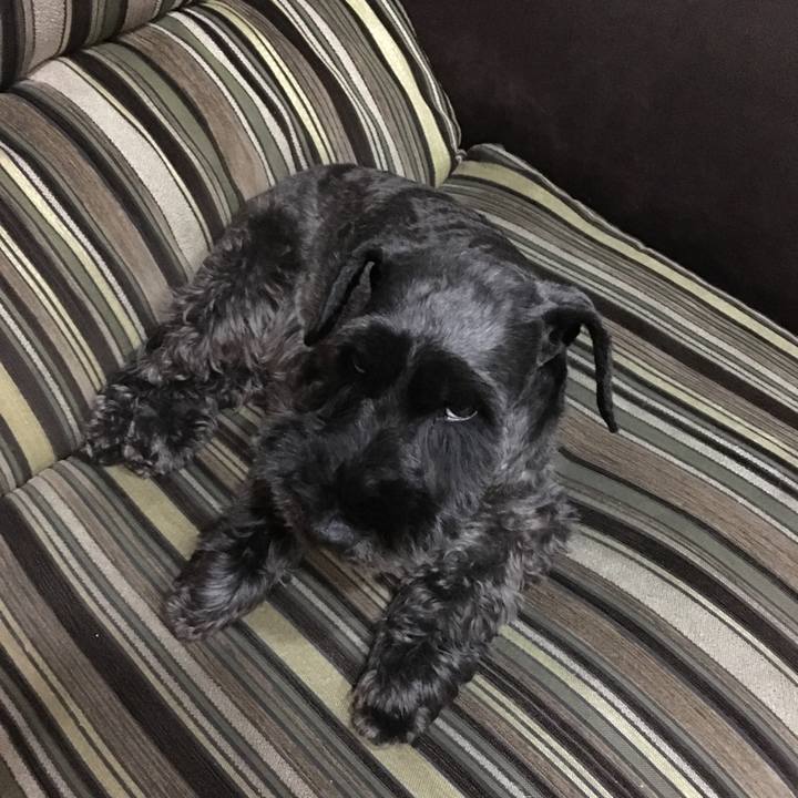 9cc37698 dbaa 4220 b1f9 9a5749f64bec