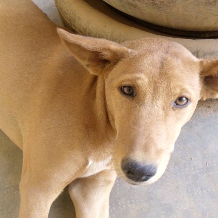 9cc473a0 c2bf 42dd a2cb fda423ad1135