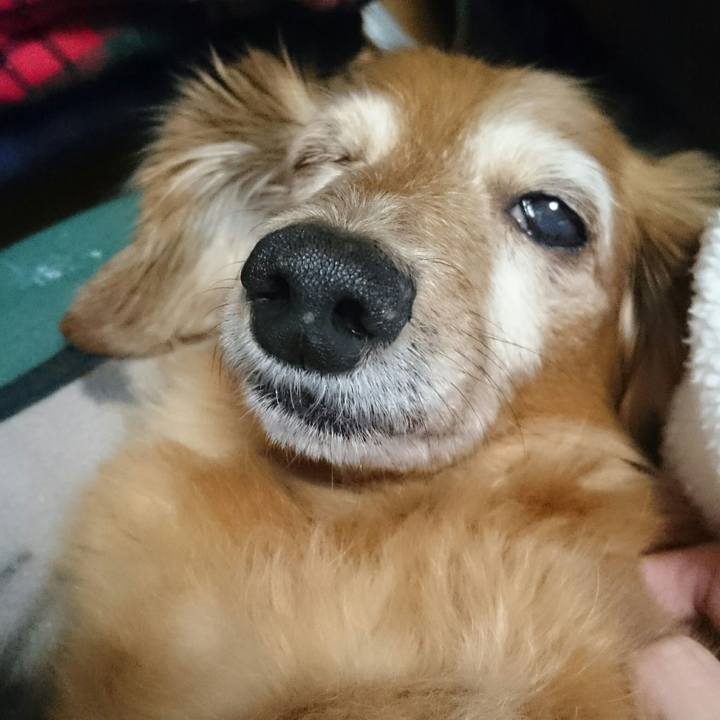 9cc47983 bc34 41d0 8a82 116cbfd3b20e