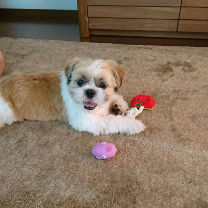 9cc4e511 65f0 4cdb b3ff c39bb07b2dba