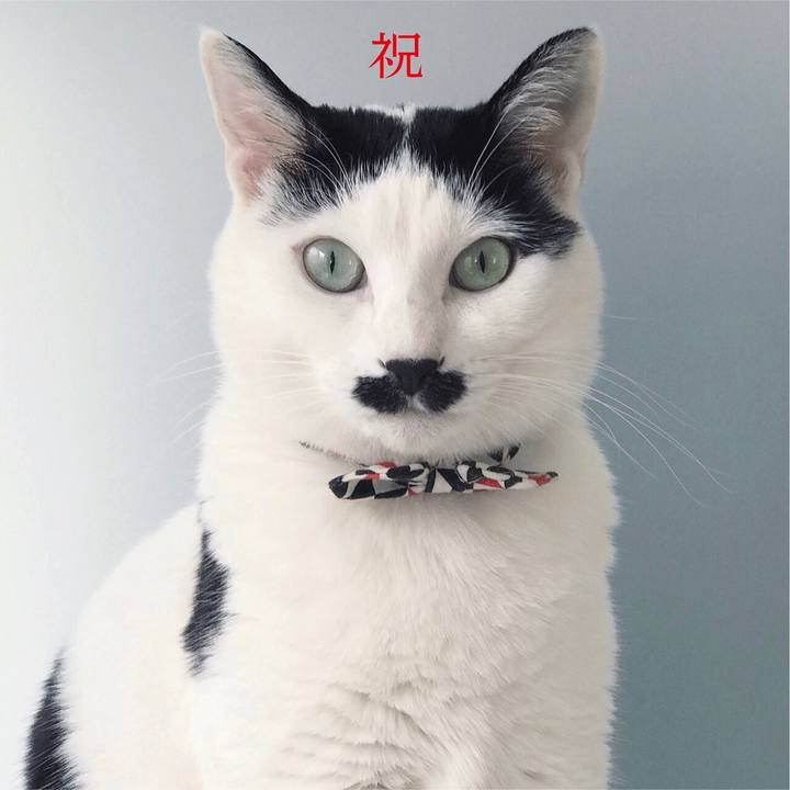 9cc4f090 27c6 43bc ab2c b9a0b3e87a5e