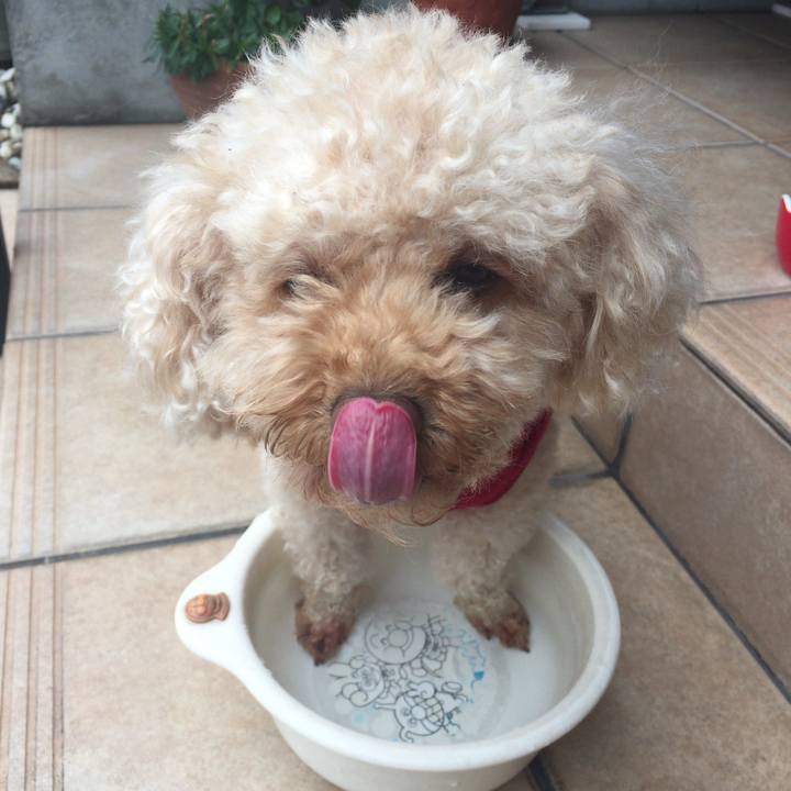 9cc529c4 d859 43fa b0a0 bbe33f4cf72f