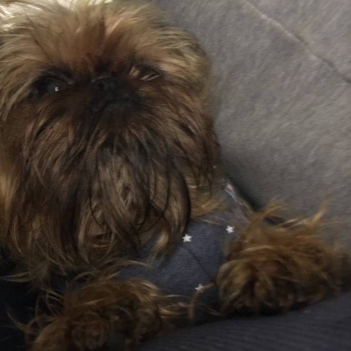 9cc55590 4833 4b1c 92ef 46484c5d2b02