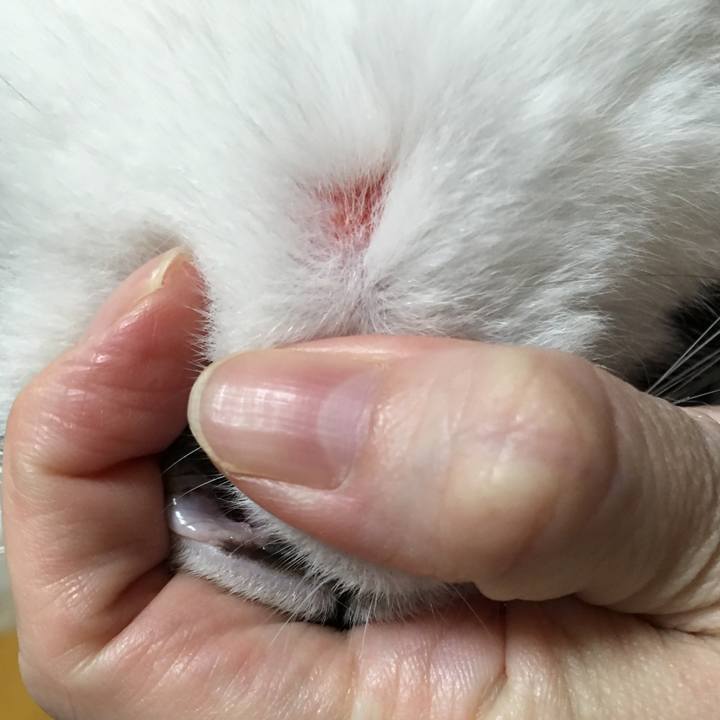 9cc57e6a 0263 464e 838b 7325c8b9a710