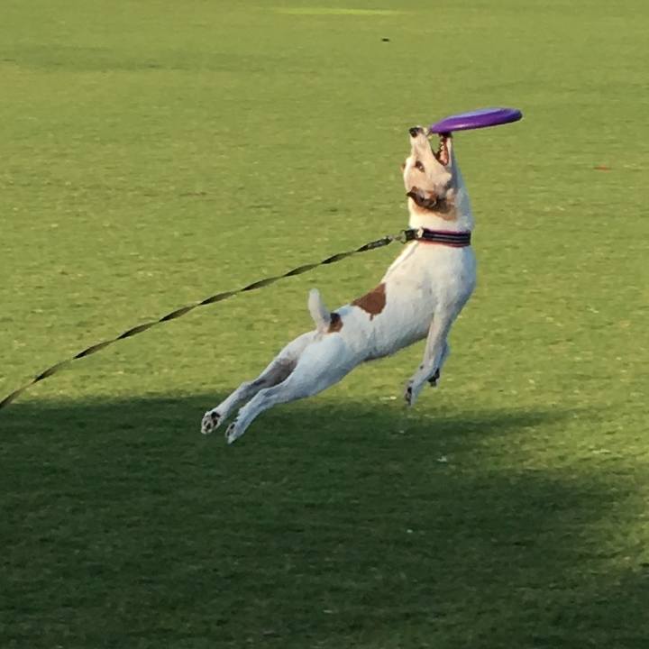 9cc58b5a 1a95 4119 941f 3f00e49ef9ca