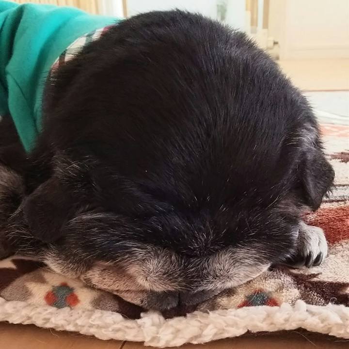 9cc5bba5 ce0e 43b2 ba60 c6a7477851d7