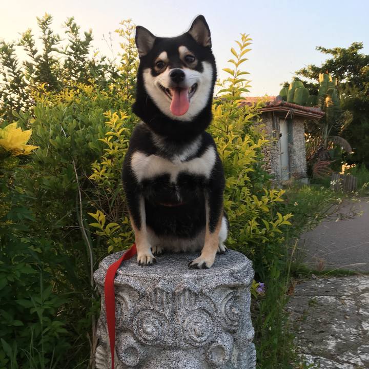 9cc5bc25 7b5f 455d b018 c5821c148105