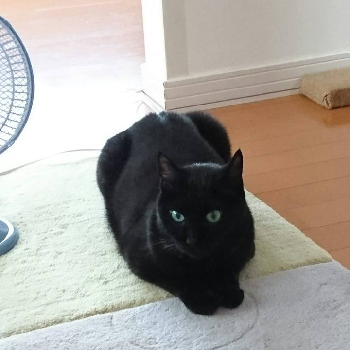 9cc5d98a bbf9 4e44 8c7f 2a3e5abcd9b0