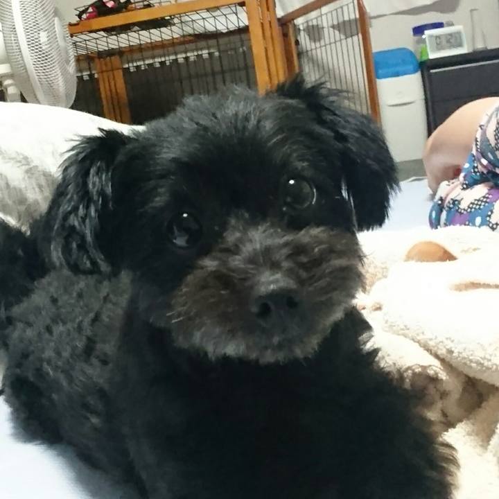 9cc61ccd 8922 4d15 92b8 e5734f8e5b34