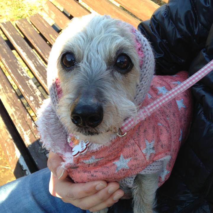 9cc62ef6 9c47 45b4 be8d 69758d914061