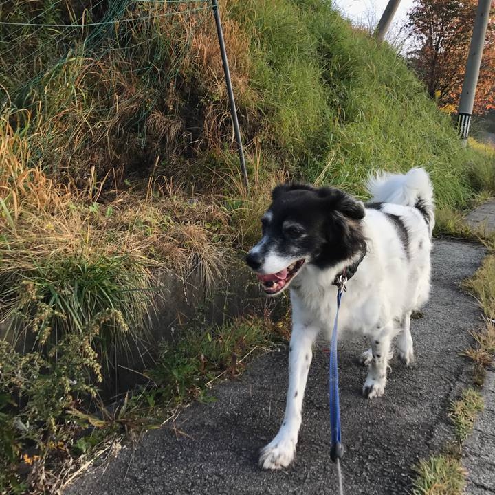 9cc6d990 bc47 42ba 9c55 51bff51112c1