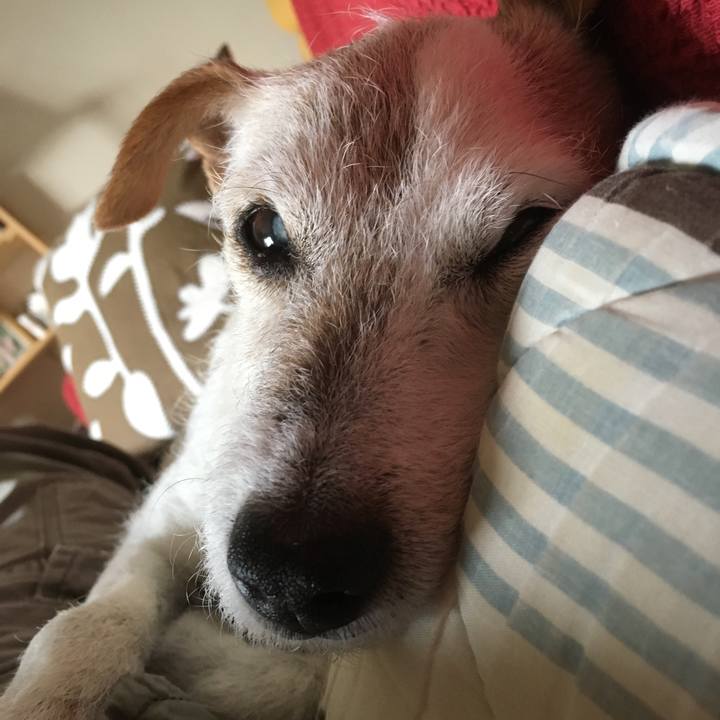 9cc7c295 00fa 484e 84da 27a8ed6b9096