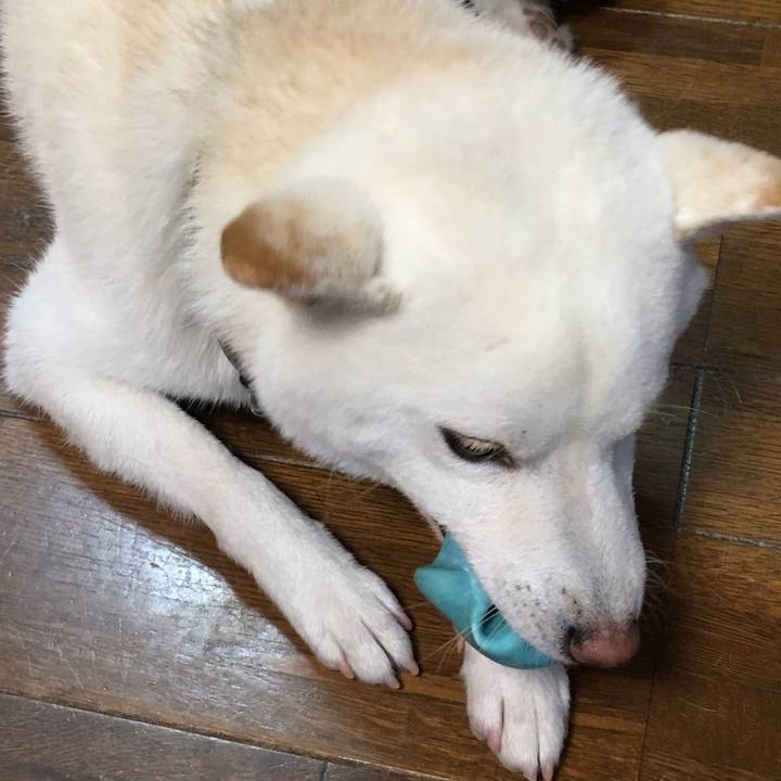 9cc7e75f 0bce 4e97 873c c5688ef56ef0