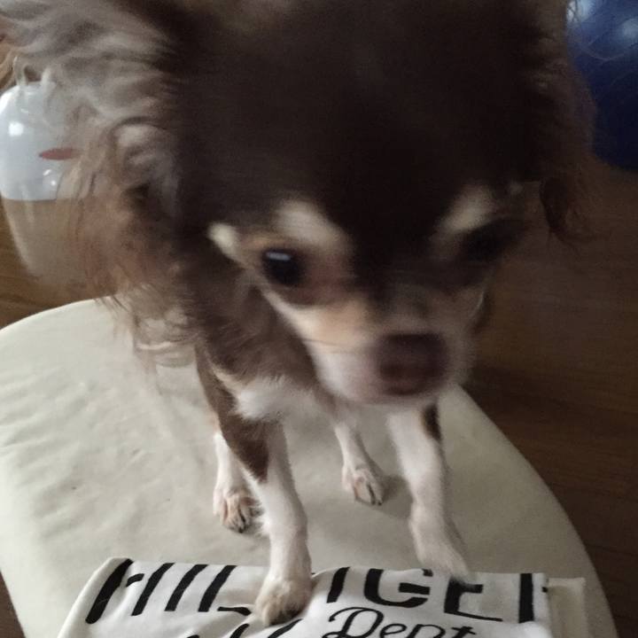 9cc832e7 dd45 49ec 9d27 80c16360ba5a