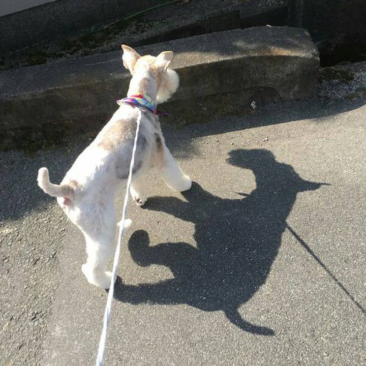 9cc8b96d ef1a 41b7 a41f ed1e2ac454df