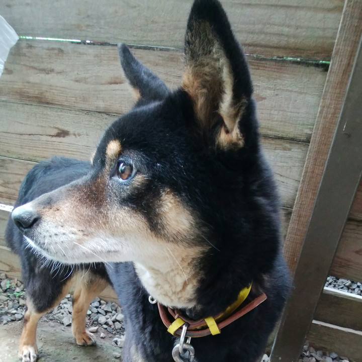 9cca4517 90d0 44ff 94cf 142c984eb649