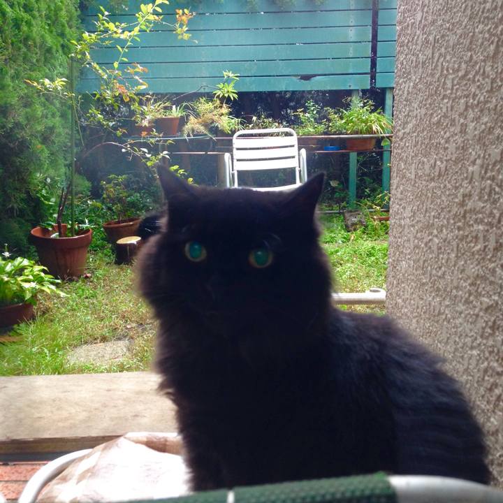 9cca5a3e 140d 4999 ab9d 96d31f60dd38