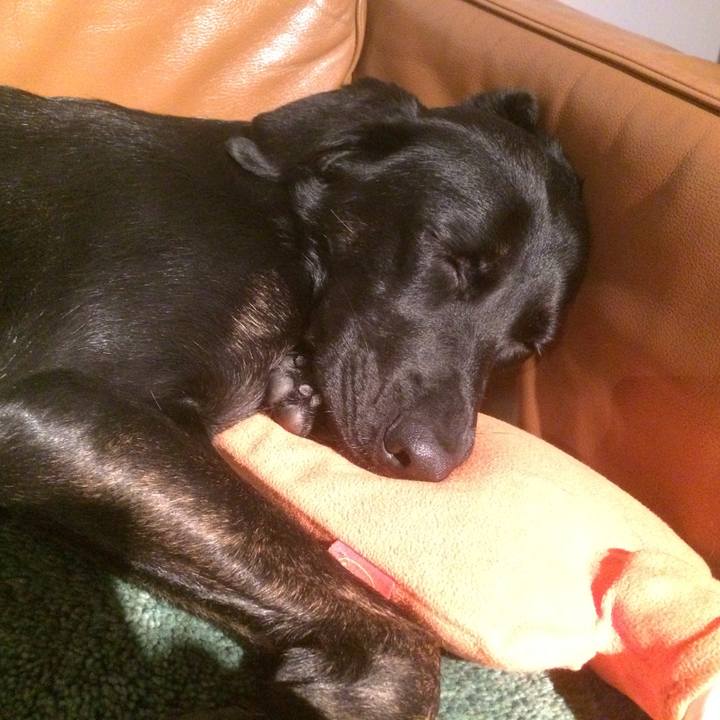 9ccae6af 3cc5 4112 8259 85666d7dec03