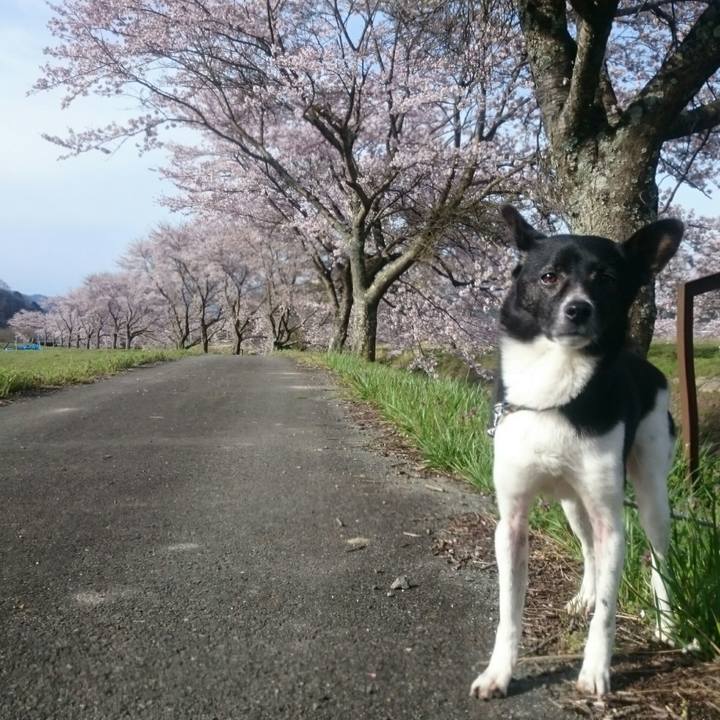 9ccb5720 eb30 4a87 8338 d5a723eb7597