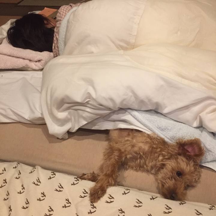 9ccc9441 19f2 45a0 8a16 3b88dfe2701c