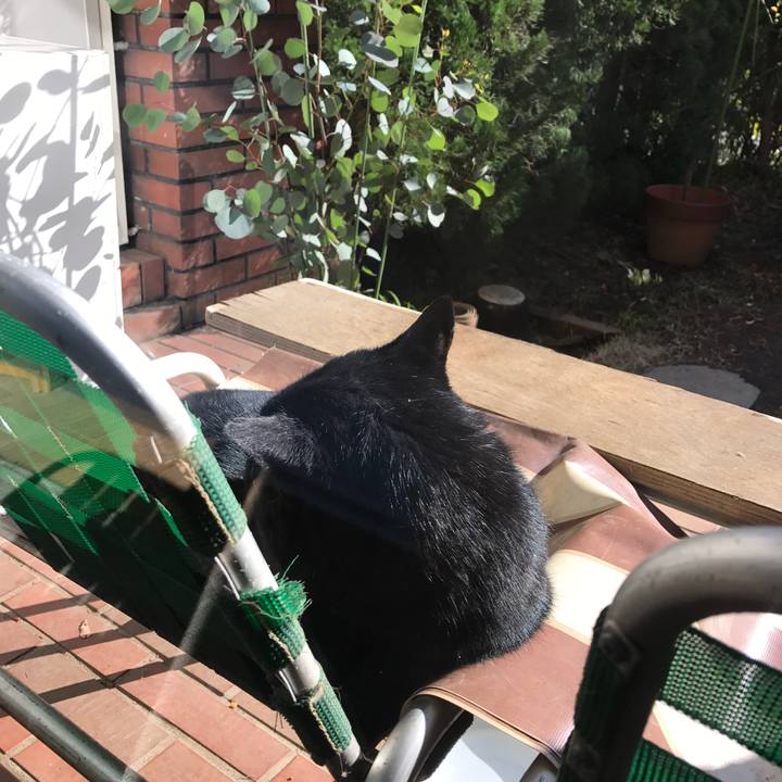 9cccb381 b053 49c1 8b02 98c54dedf599