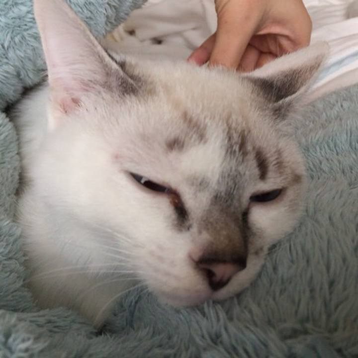 9cccd13b 5e60 4d0b 9966 2b0a30181483