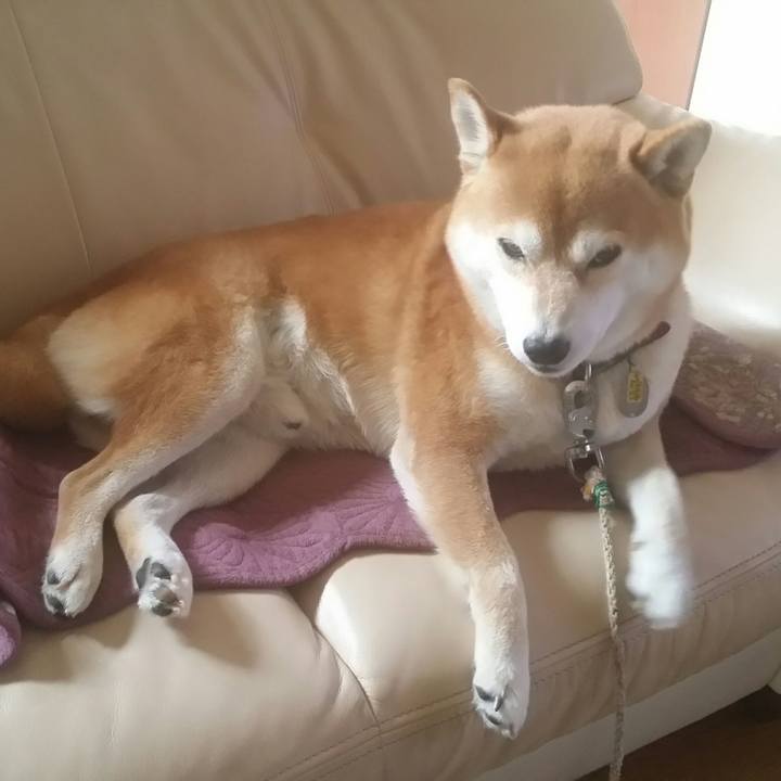 9ccd6601 c55a 4a54 81f1 fd56491c8243