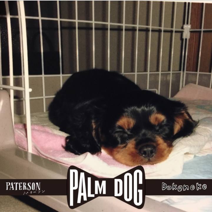 9ccdafe3 45ae 4a4e a73b fb13d84333ee