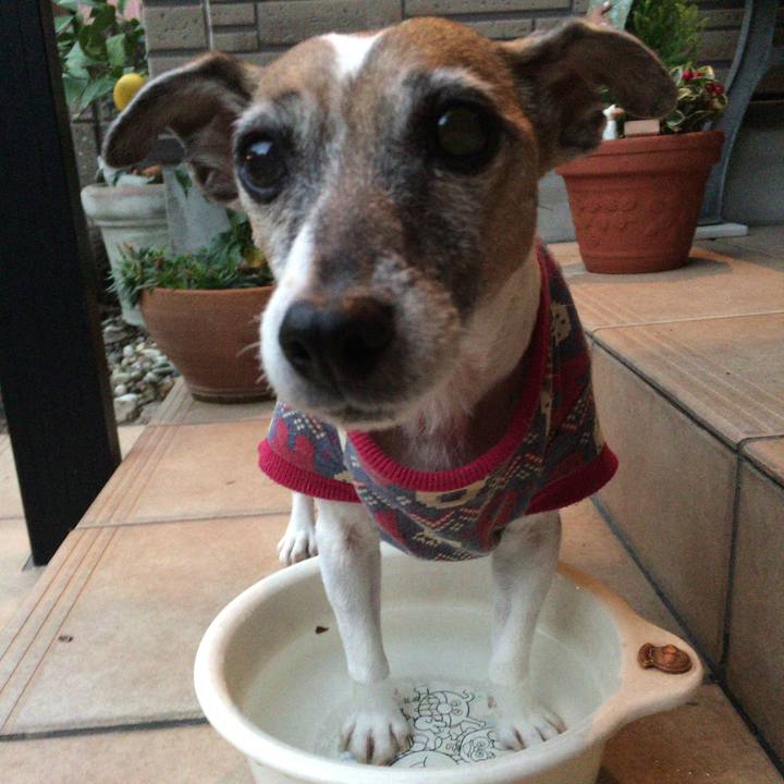 9ccde29b e6ef 4401 93d9 b7d8c13042af