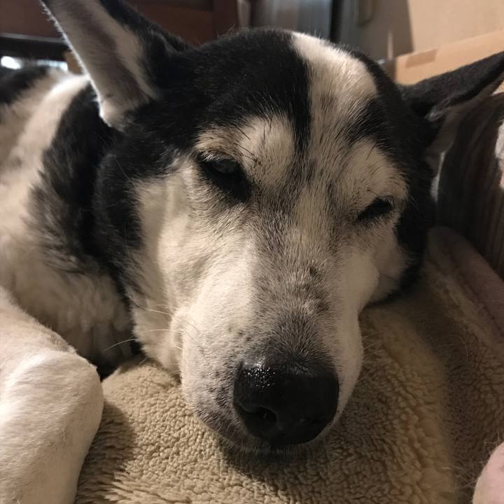 9cce60d9 2433 44d0 989a 882d98cbe4c4