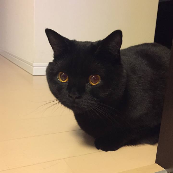 9cceb97d c998 4951 82c0 759285c8d0a7